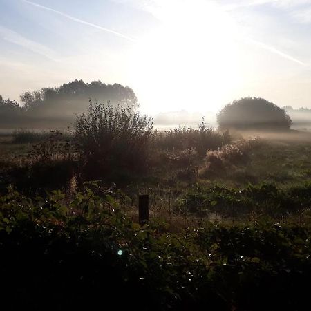 Bed and Breakfast De Heidestroper Eindhoven Exterior foto